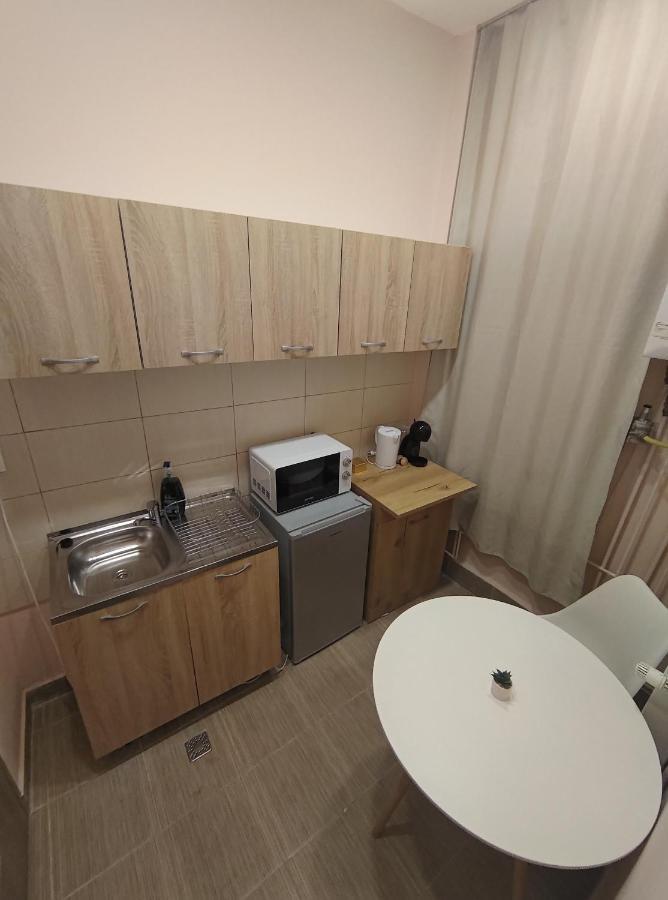 Lovely Apartment In The Heart Of The City Temeşvar Dış mekan fotoğraf